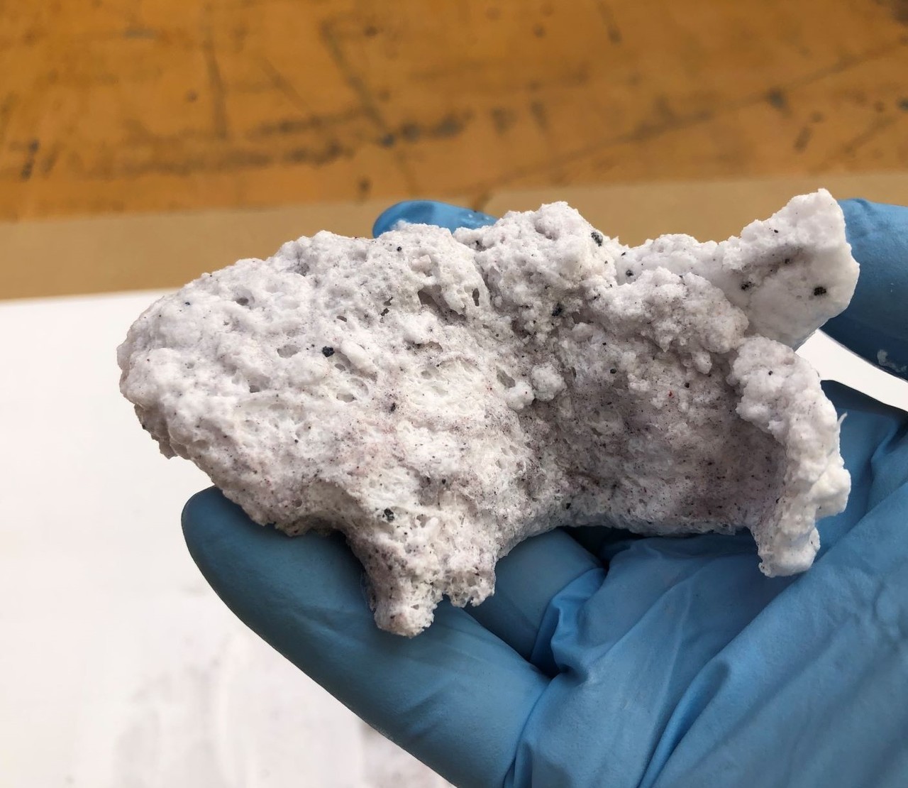 水で回収された塗料カス